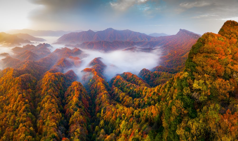 光雾山最佳观赏时间