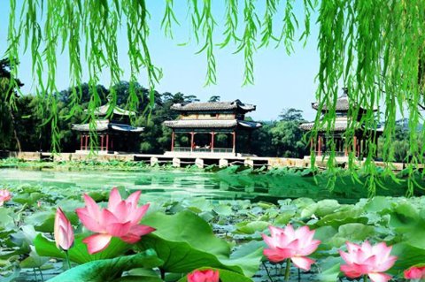 哪些美景，让你见过一次后一生都无法忘怀？