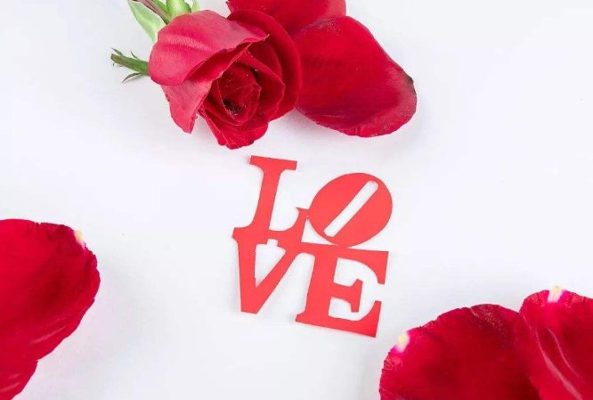 每年5月20日是什么节日