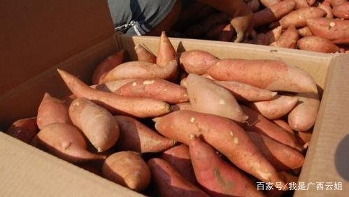 自己家种了很多红薯吃不完，如何保存更久？
