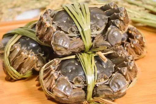 上海大闸蟹价格降一半，销量猛增，今年的大闸蟹价格为何会猛降？