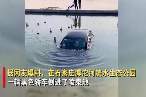 近日，一轿车落水，车主等救援还不忘做生意，围观的路人对此有何表示？