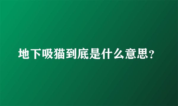 地下吸猫到底是什么意思？