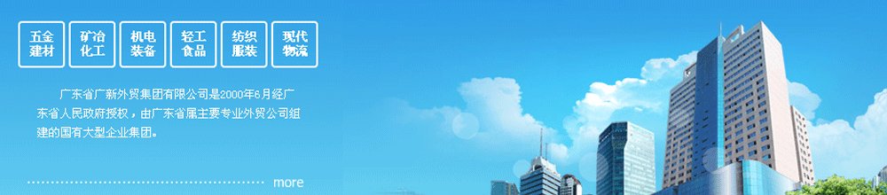 广东省广新外贸集团有限公司有什么部门