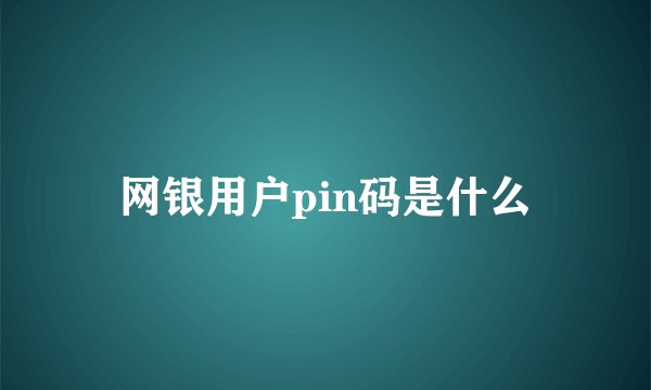 网银用户pin码是什么