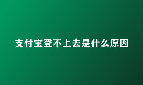 支付宝登不上去是什么原因