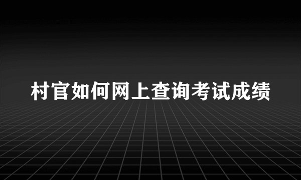 村官如何网上查询考试成绩