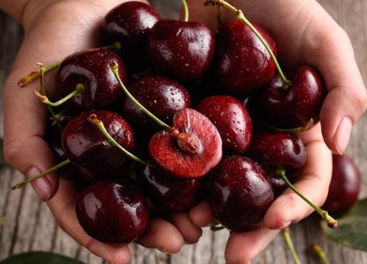 吴尊友回应车厘子等进口水果怎么吃？