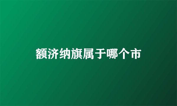 额济纳旗属于哪个市