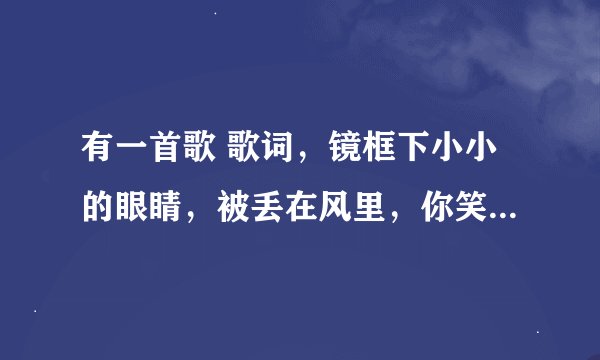 有一首歌 歌词，镜框下小小的眼睛，被丢在风里，你笑我平凡的外形，不适合爱情