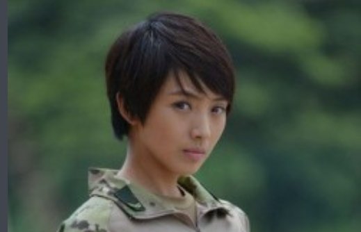 特种兵之火凤凰演员表全部