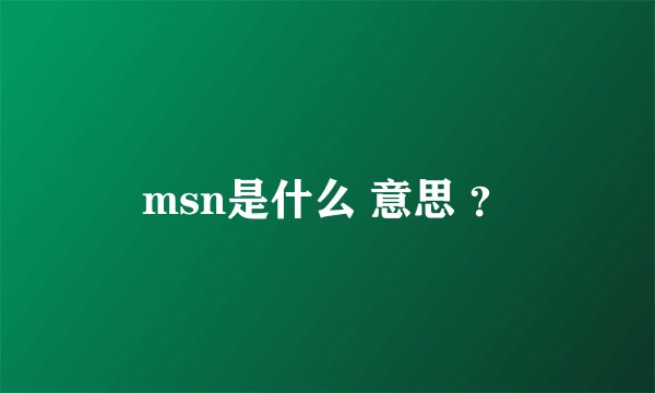 msn是什么 意思 ？