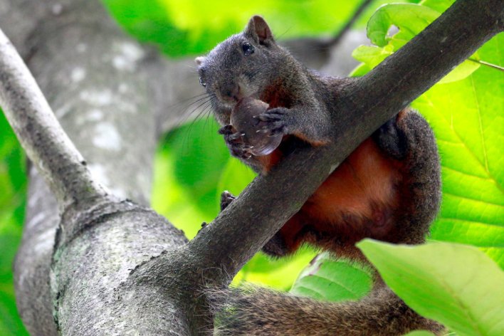 扒的字义是什么