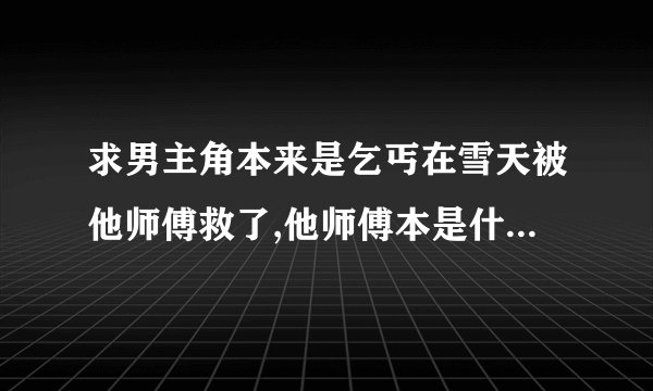 求男主角本来是乞丐在雪天被他师傅救了,他师傅本是什么邪派的要他为师报仇,猎尽天下美女的武侠小说i