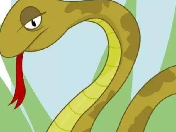 毒蛇会进家里吗