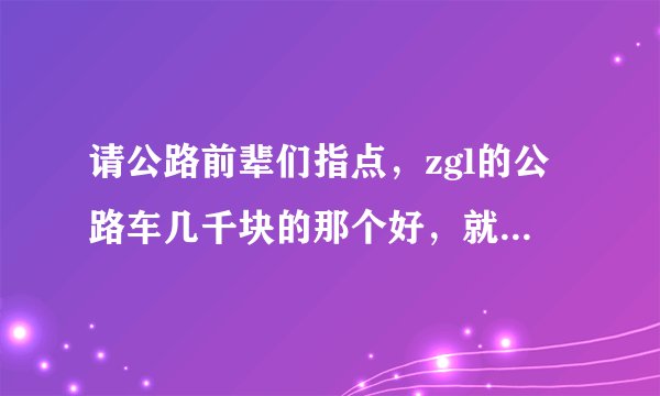 请公路前辈们指点，zgl的公路车几千块的那个好，就是结实，耐操。zgl国家队定制版怎么样。请指点迷