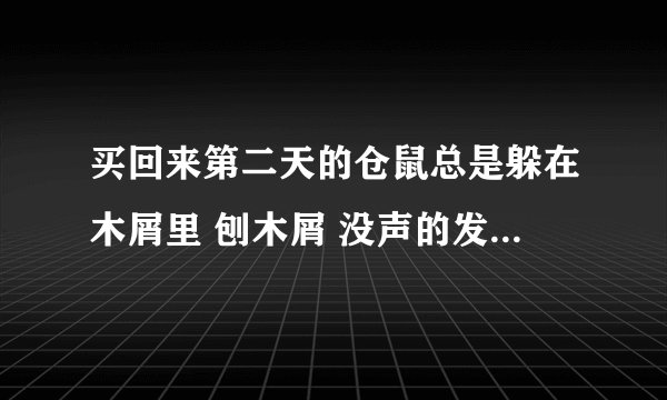 买回来第二天的仓鼠总是躲在木屑里 刨木屑 没声的发抖 在笼子里上下爬 来回嗅 不怎么运动 喜