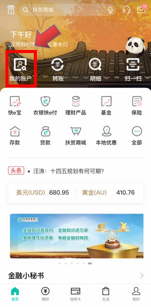 农行95599手机查余额