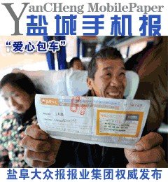 大国手之秦淮风月的剧情介绍