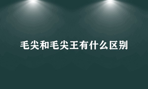 毛尖和毛尖王有什么区别