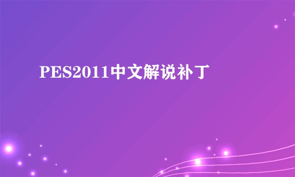 PES2011中文解说补丁