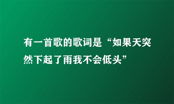 有一首歌的歌词是“如果天突然下起了雨我不会低头”
