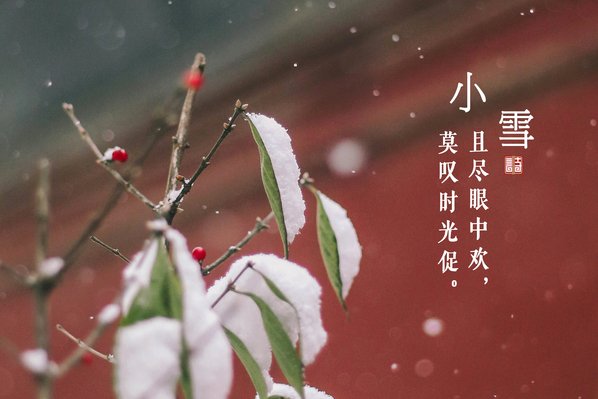 小雪下雪什么征兆