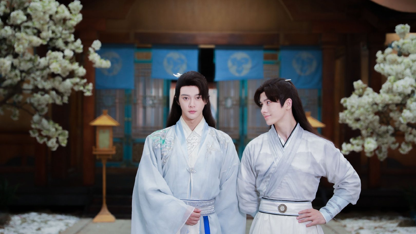 师尊今天洗白了吗电视剧在哪里看