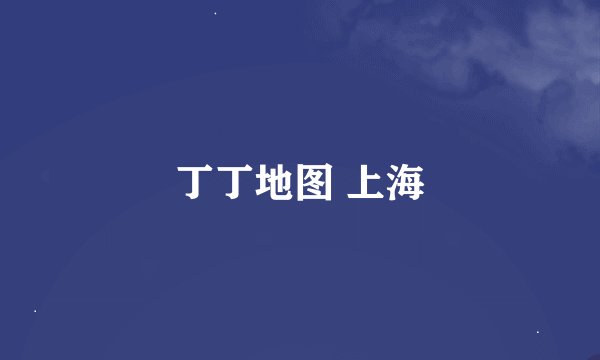 丁丁地图 上海