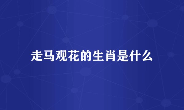 走马观花的生肖是什么