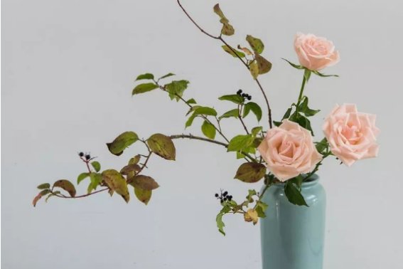 中式插花六大基本原则