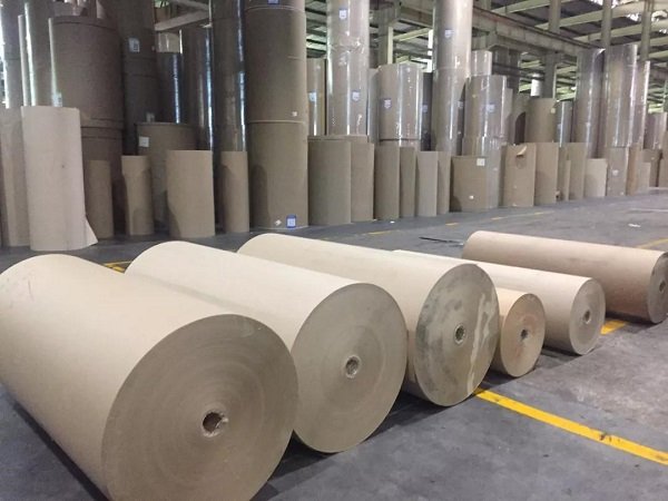 纸厂纷纷停产，是什么原因导致的？