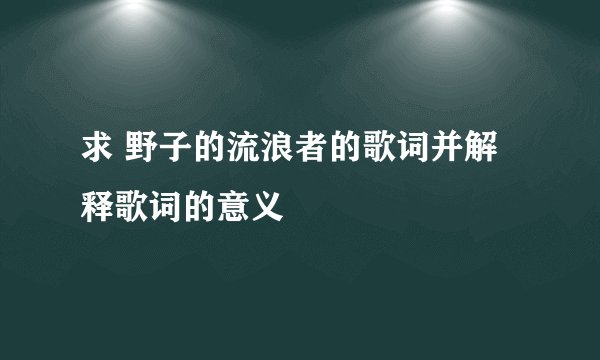 求 野子的流浪者的歌词并解释歌词的意义