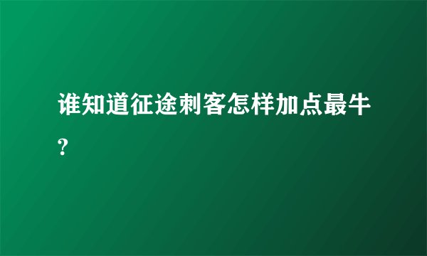 谁知道征途刺客怎样加点最牛?