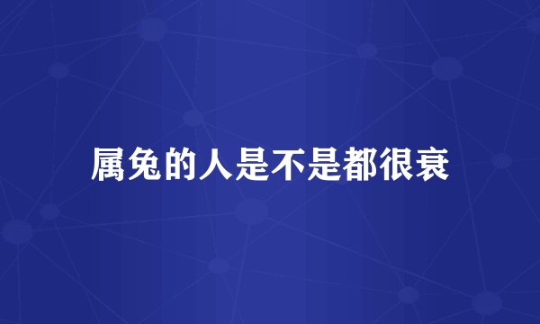 属兔的人是不是都很衰