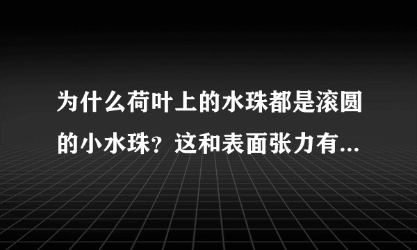 为什么荷叶上的水珠都是滚圆的小水珠？这和表面张力有关系吗？