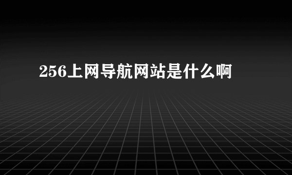 256上网导航网站是什么啊