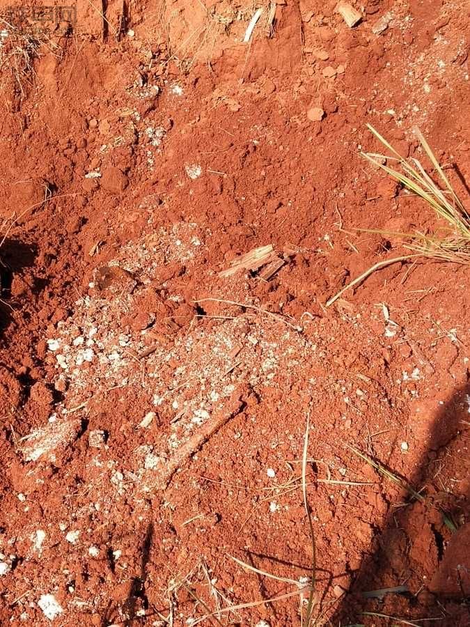 挖掘机挖到棺材了怎么办？