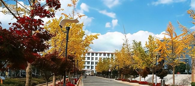 云南单招学校有哪些？