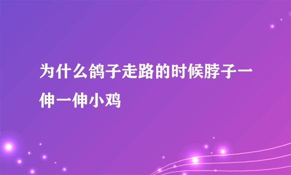 为什么鸽子走路的时候脖子一伸一伸小鸡