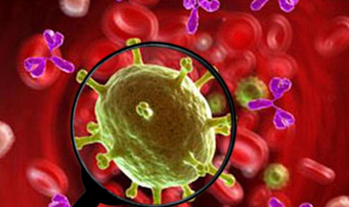 菊头蝠携带了那么多病毒为何没事，是以毒攻毒吗