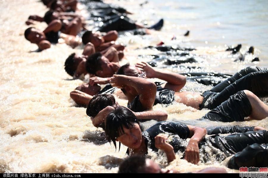 天骄特卫保镖公司的服务范围