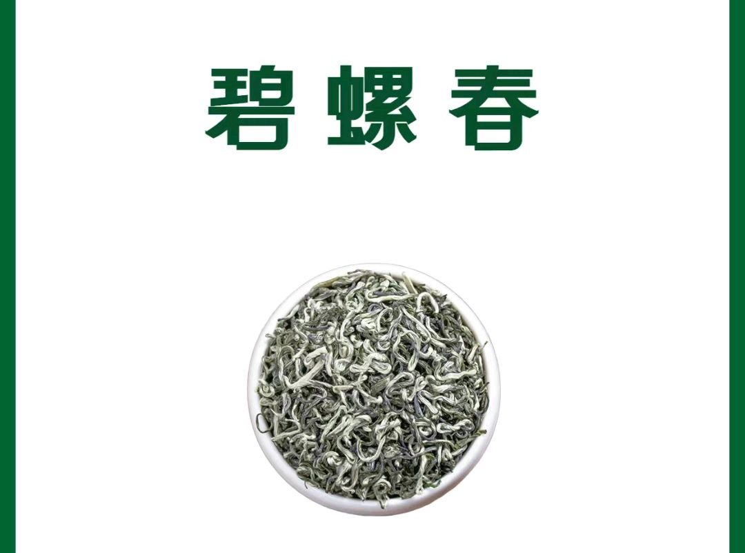 购买绿茶时怎么挑选？不同的绿茶都有哪些挑选技巧？