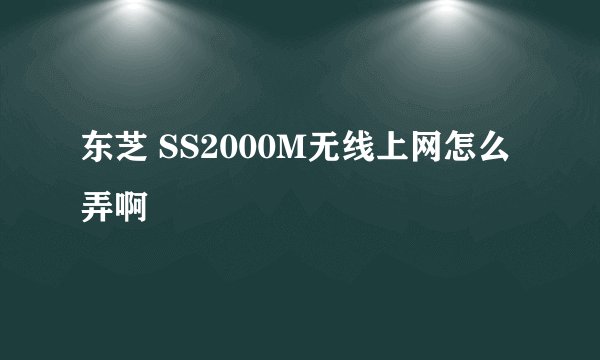 东芝 SS2000M无线上网怎么弄啊