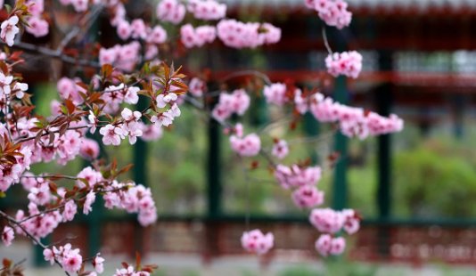 烟花三月是几月呢?