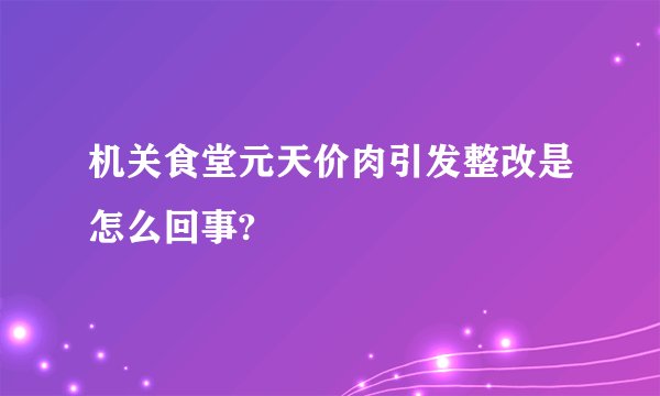 机关食堂元天价肉引发整改是怎么回事?