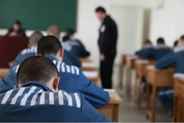 少年犯是什么意思