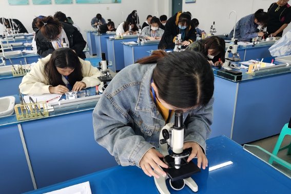 中考监控复查很严格吗