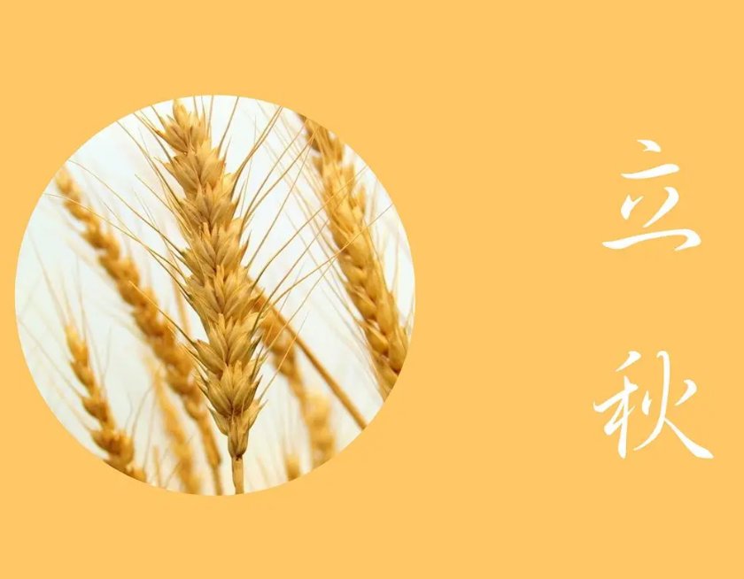 八月八日几点立秋