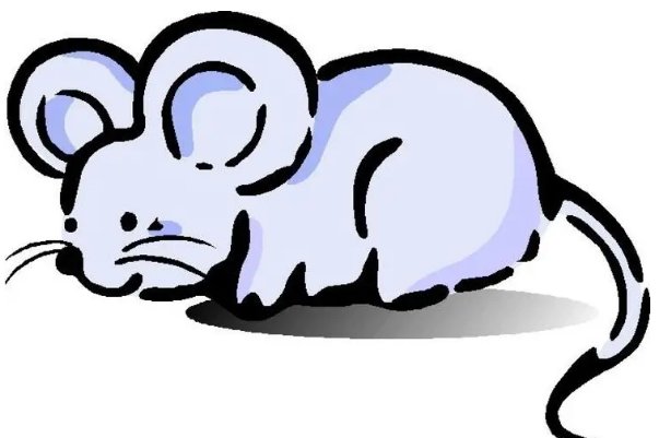 盛筵必散什么生肖